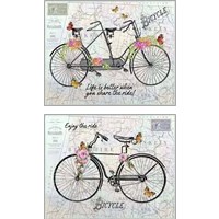 Framed 'Vintage Bicycle with Map 2 Piece Art Print Set' border=