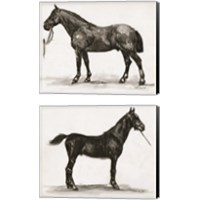 Framed 'Horse Study 2 Piece Canvas Print Set' border=