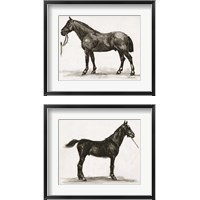 Framed 'Horse Study 2 Piece Framed Art Print Set' border=