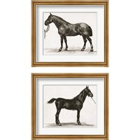 Framed Horse Study 2 Piece Framed Art Print Set