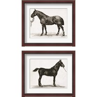 Framed 'Horse Study 2 Piece Framed Art Print Set' border=