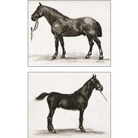 Framed 'Horse Study 2 Piece Art Print Set' border=