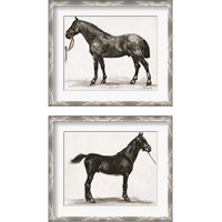 Framed Horse Study 2 Piece Framed Art Print Set