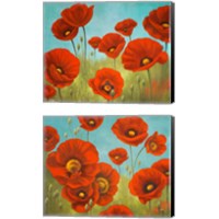 Framed Field of Poppies 2 Piece Canvas Print Set