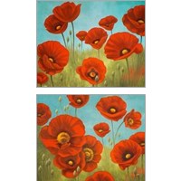 Framed Field of Poppies 2 Piece Art Print Set