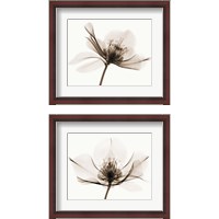 Framed 'Hellebore  2 Piece Framed Art Print Set' border=