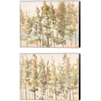 Framed 'Bosque Verde Brisa 2 Piece Canvas Print Set' border=
