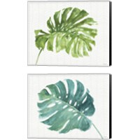 Framed Mixed Greens  2 Piece Canvas Print Set