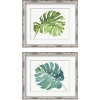 Framed 'Mixed Greens  2 Piece Framed Art Print Set' border=