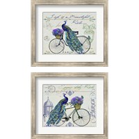 Framed 'Peacock On Bicylce 2 Piece Framed Art Print Set' border=