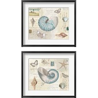 Framed 'Beach Wonders 2 Piece Framed Art Print Set' border=