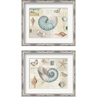 Framed 'Beach Wonders 2 Piece Framed Art Print Set' border=