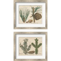 Framed Antique Botanical  2 Piece Framed Art Print Set