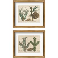 Framed Antique Botanical  2 Piece Framed Art Print Set