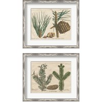 Framed Antique Botanical  2 Piece Framed Art Print Set