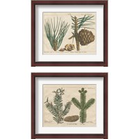 Framed Antique Botanical  2 Piece Framed Art Print Set