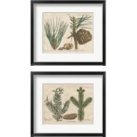 Framed 'Antique Botanical  2 Piece Framed Art Print Set' border=