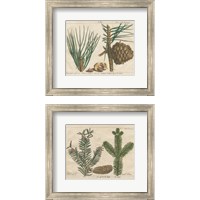 Framed Antique Botanical  2 Piece Framed Art Print Set