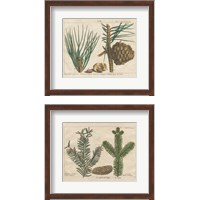 Framed Antique Botanical  2 Piece Framed Art Print Set