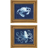 Framed Sealife on Blue 2 Piece Framed Art Print Set