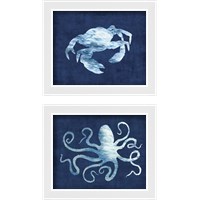 Framed Sealife on Blue 2 Piece Framed Art Print Set