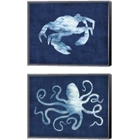 Framed Sealife on Blue 2 Piece Canvas Print Set