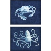 Framed 'Sealife on Blue 2 Piece Art Print Set' border=