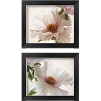 Framed 'Translucent Peony 2 Piece Framed Art Print Set' border=