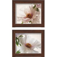 Framed 'Translucent Peony 2 Piece Framed Art Print Set' border=