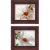 Framed Translucent Peony 2 Piece Framed Art Print Set