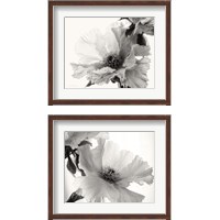 Framed Translucent Peony BW 2 Piece Framed Art Print Set