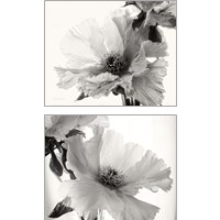 Framed 'Translucent Peony BW 2 Piece Art Print Set' border=