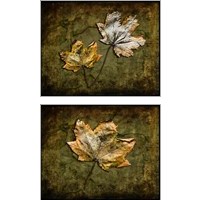 Framed 'Metallic Leaf  2 Piece Art Print Set' border=