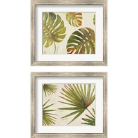 Framed Organic  2 Piece Framed Art Print Set