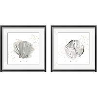 Framed Sand Dollar & Sea Scallop 2 Piece Framed Art Print Set