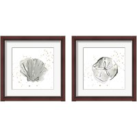 Framed Sand Dollar & Sea Scallop 2 Piece Framed Art Print Set