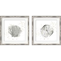 Framed 'Sand Dollar & Sea Scallop 2 Piece Framed Art Print Set' border=