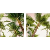 Framed 'Bright Oahu Palms 2 Piece Art Print Set' border=