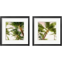 Framed 'Bright Oahu Palms 2 Piece Framed Art Print Set' border=