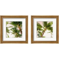 Framed 'Bright Oahu Palms 2 Piece Framed Art Print Set' border=