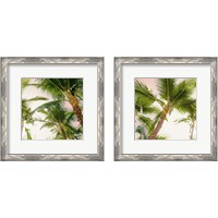 Framed 'Bright Oahu Palms 2 Piece Framed Art Print Set' border=