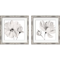 Framed 'Rise With The Sun Square 2 Piece Framed Art Print Set' border=