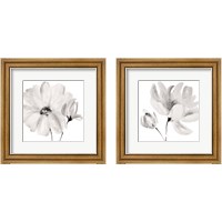 Framed 'Rise With The Sun Square 2 Piece Framed Art Print Set' border=
