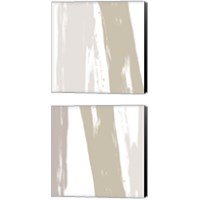 Framed Gray Strokes 2 Piece Canvas Print Set