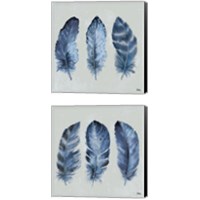 Framed Indigo Feathers 2 Piece Canvas Print Set