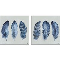 Framed Indigo Feathers 2 Piece Art Print Set