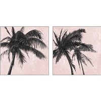 Framed 'Gray Palm on Pink 2 Piece Art Print Set' border=