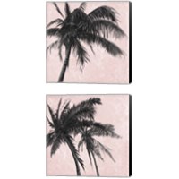 Framed 'Gray Palm on Pink 2 Piece Canvas Print Set' border=