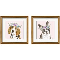 Framed 'Flower Crown Pet 2 Piece Framed Art Print Set' border=