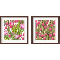Framed Tulip Symphony 2 Piece Framed Art Print Set
